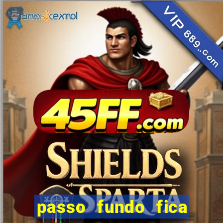 passo fundo fica perto de qual cidade
